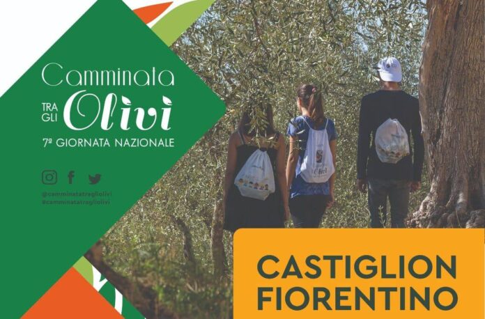 Camminata Tra gli Olivi_CF