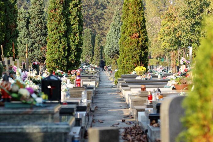 Cimitero fiori