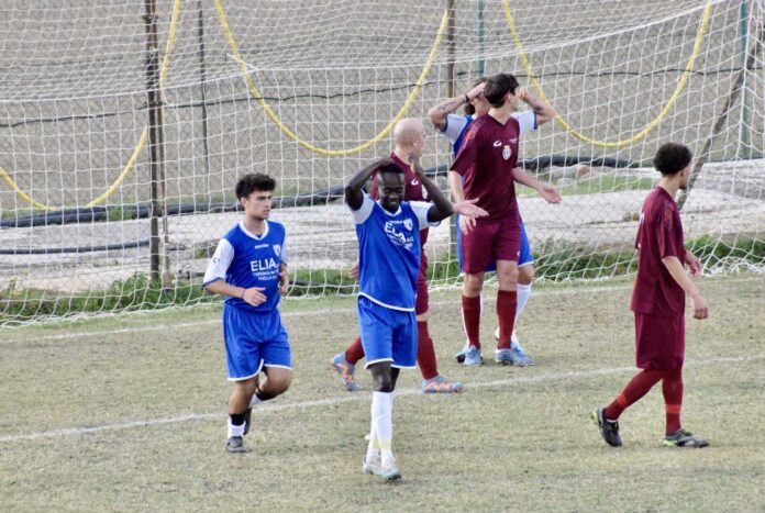 Fortis Arezzo