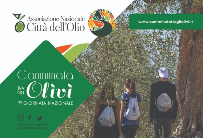 camminata olivi 29 ott