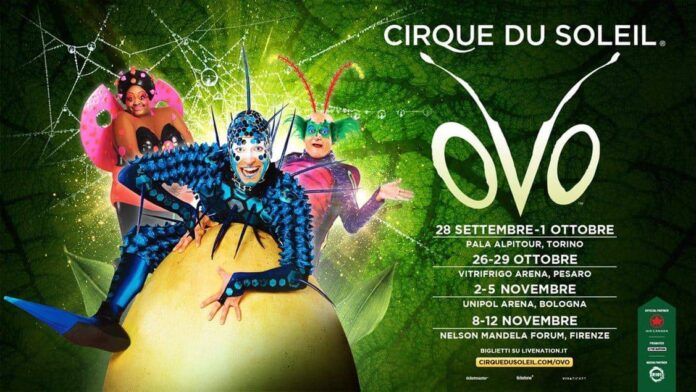 cirque du soleil