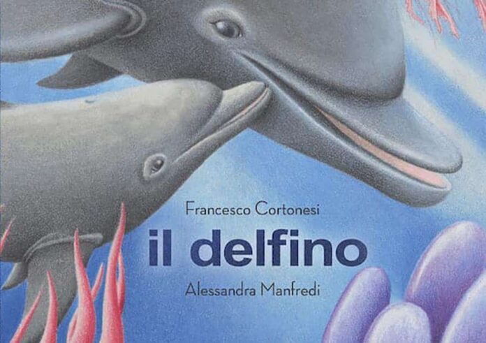 il delfino