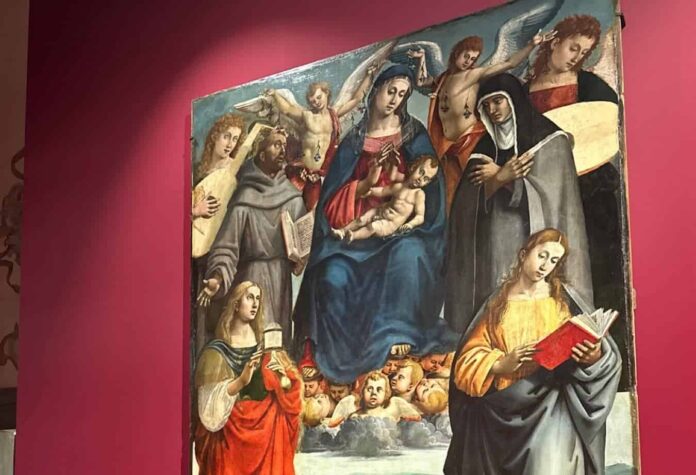signorelli proroga 3429