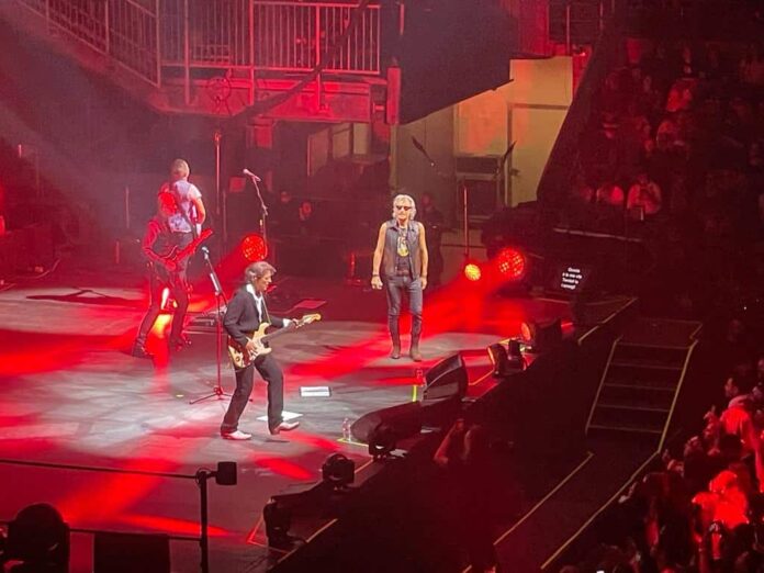 Ligabue