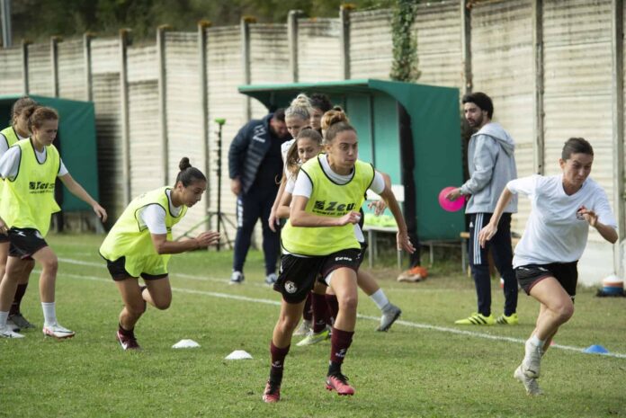 Acf arezzo