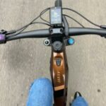 Due ebike rubate a Bologna Sabrina