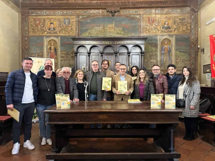 progetto novolio cortona