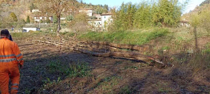 Solano lavori