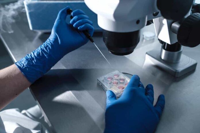 laboratorio-ricerca-scienza-cellule_4