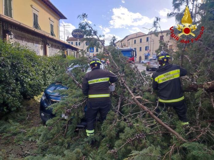 vvf-soccorso-auto