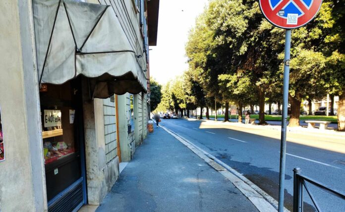 Viale Michelangelo Arezzo