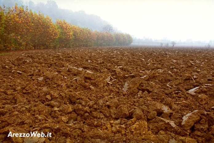 20140502_agricoltura_campo_arato