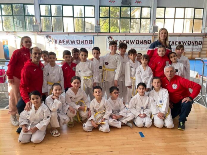 NRGym Taekwondo Arezzo