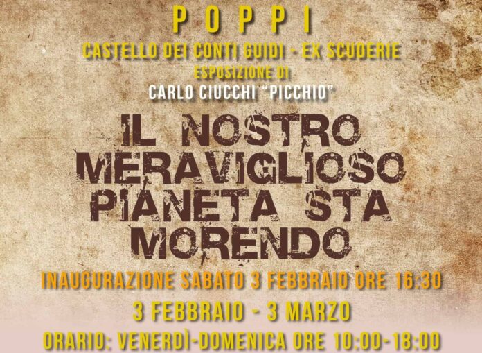 Mostra Picchio
