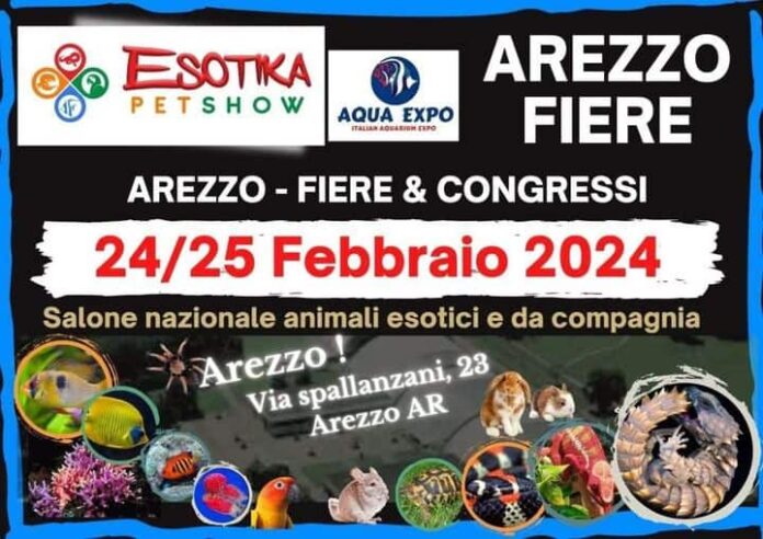 locandina Esotika