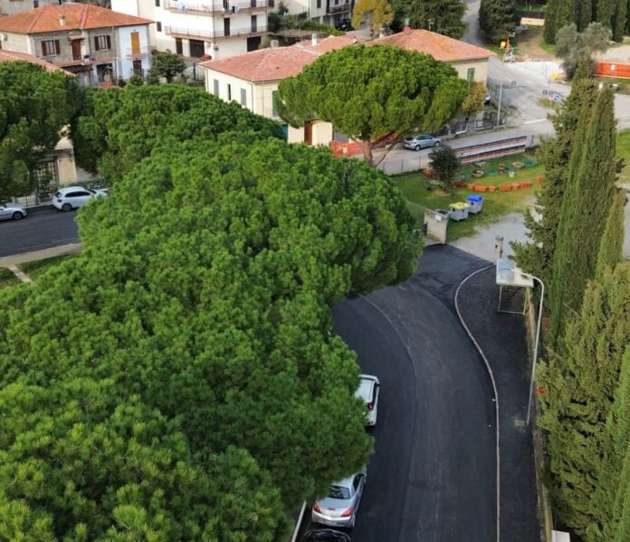 via di murata camucia