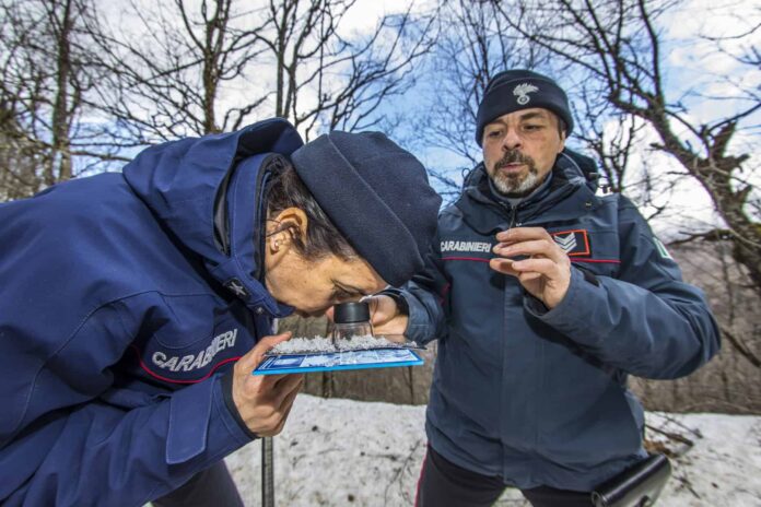 Carabinieri Biodiversità Rilievi Meteomont