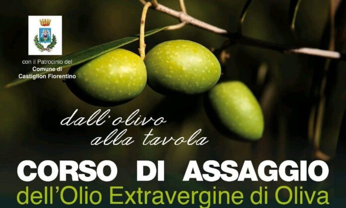 Corso assaggiatori olio_castiglion fiorentino