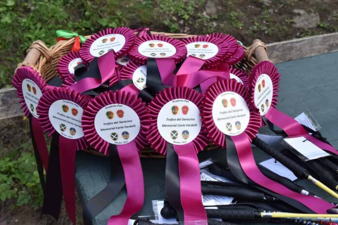 Trofeo del Saracino Memorial Carlo Fardelli