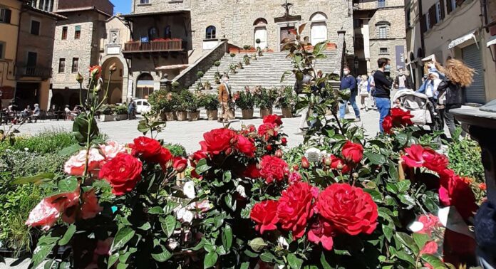cortona fiore 6
