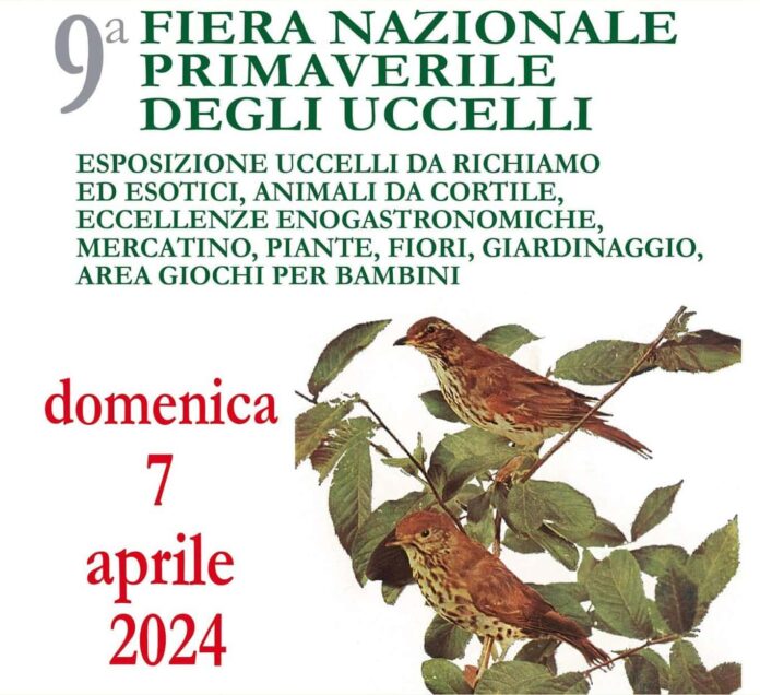 fiera degli uccelli_terranuova b.
