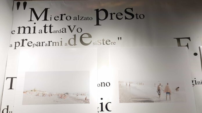 Andrea Meacci, fotografo castiglionese