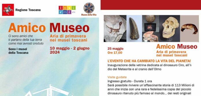 Amico museo_2024 2 ante