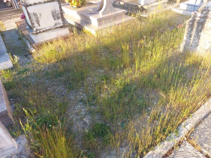 Cimitero-Chiassa-Superiore_06