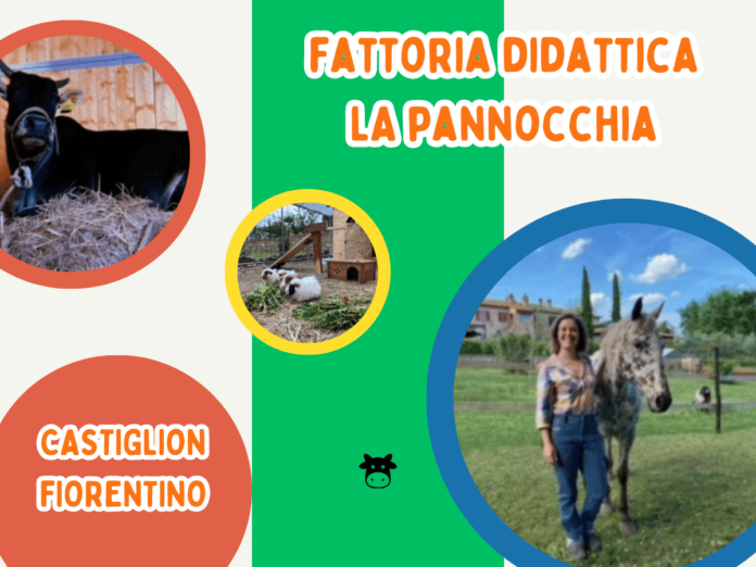 fattoria didattica LA pannocchia (1)