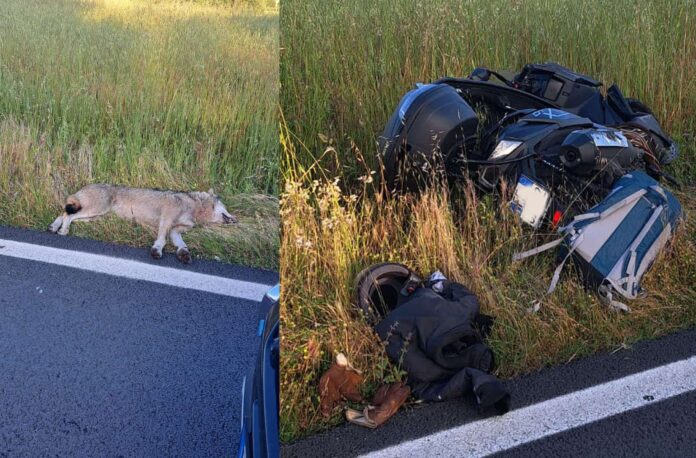 incidente_sr71-matto-lupo