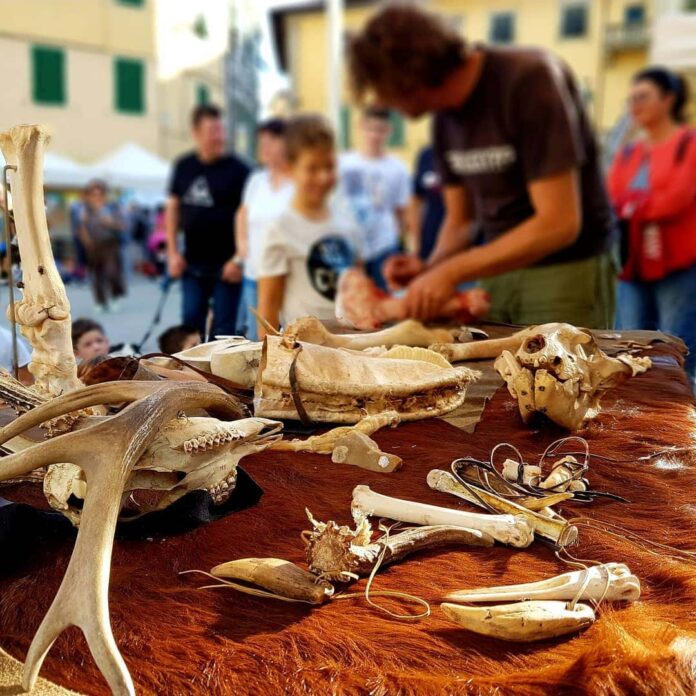 paleofestival_2019