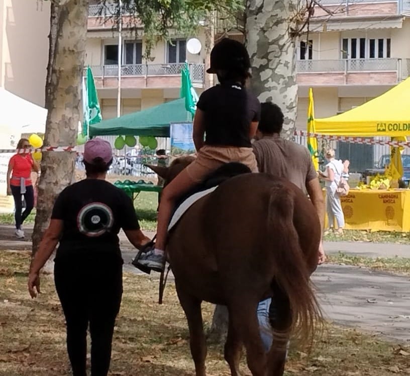 Scuderia Pan_pony nei parchi