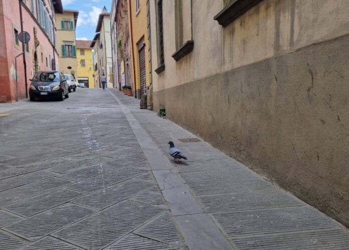 servizio di pulizia strade (1)