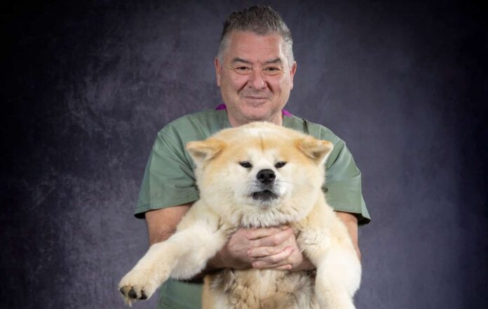 Alberto Brandi veterinario