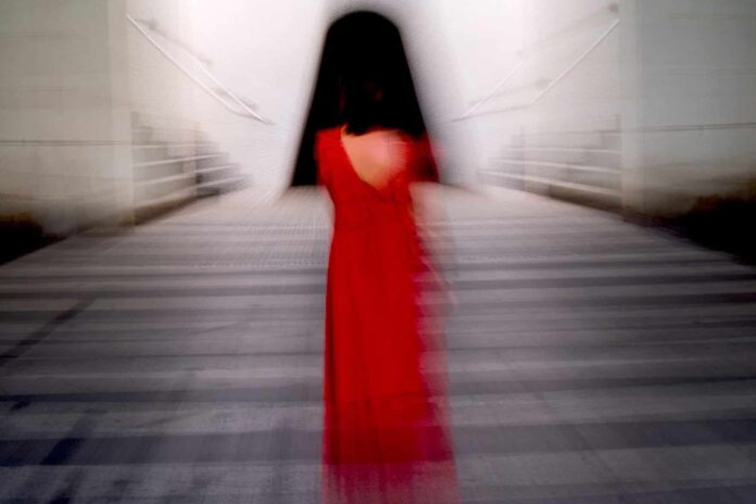 Imago - Luca Cini, Oltre il visibile