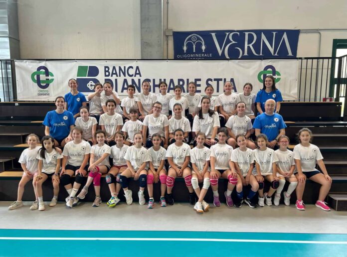 Vbc Arnopolis - Pratovecchio Stia