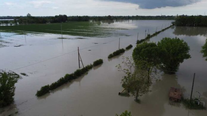 COOP_alluvione
