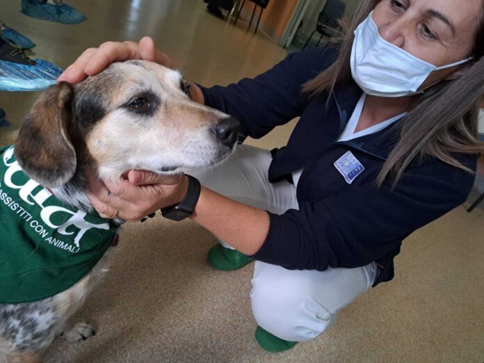 Pet therapy _ospedale san donato arezzo