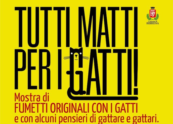 Tutti matti per i gatti-1