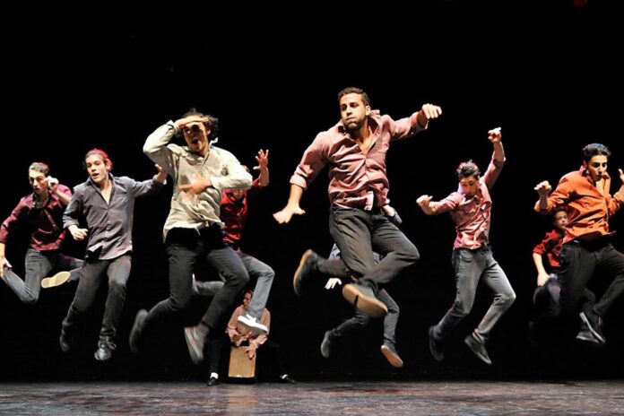 Progetti Per La Danza - The other side of art (3)