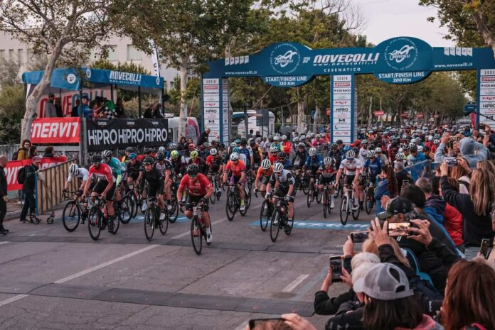 novecolli-2024 novecolli-2024