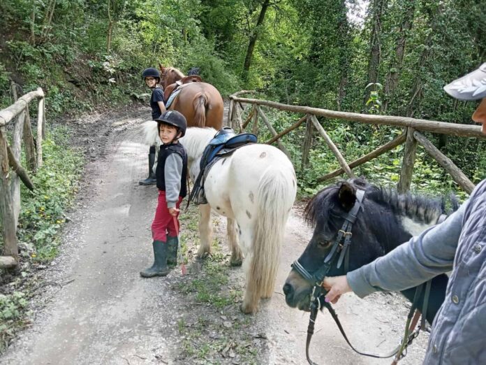 passeggiata nel bosco