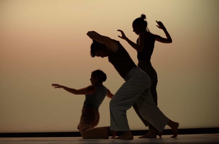Livia - Anghiari Dance Hub