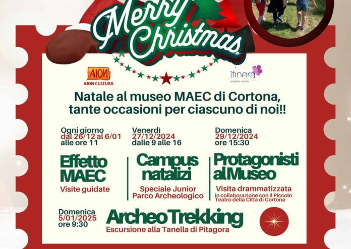 maec natale 2425