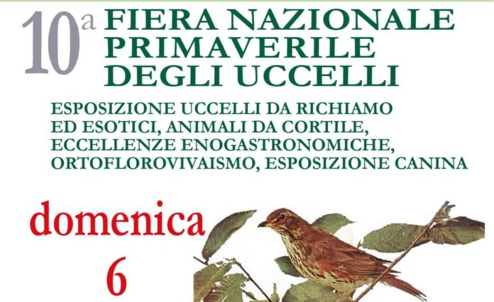 Decima fiera nazionale primaverile degli uccelli a Terranuova Bracciolini
