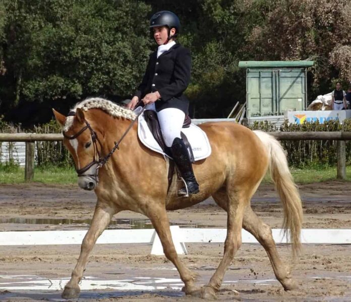 Giostra all'anello e gare Fitetrec Ante all'Arezzo Equestrian Centre