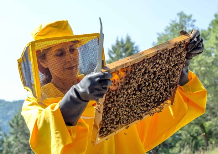 Parco delle Foreste casentinesi accordo con Konecta Italia per attività di protezione forestale