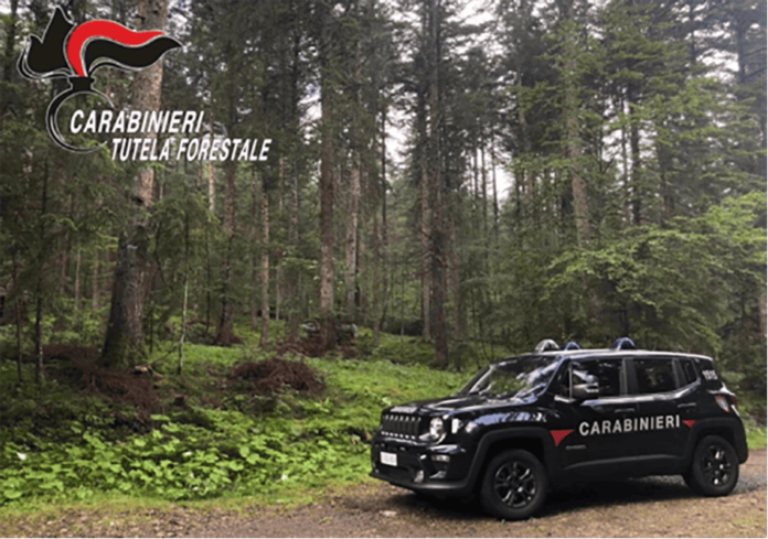 carabinieri-forestali