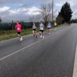 la testa femminile