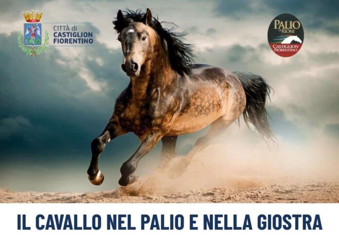 Castiglion Fiorentino “Il Cavallo nel Palio e nella Giostra”